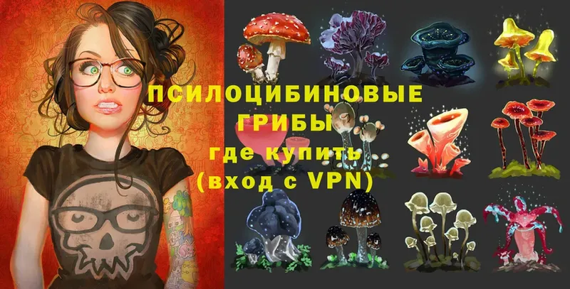 Галлюциногенные грибы Magic Shrooms  Гуково 